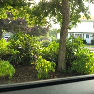 Meet your Posher, Ellie